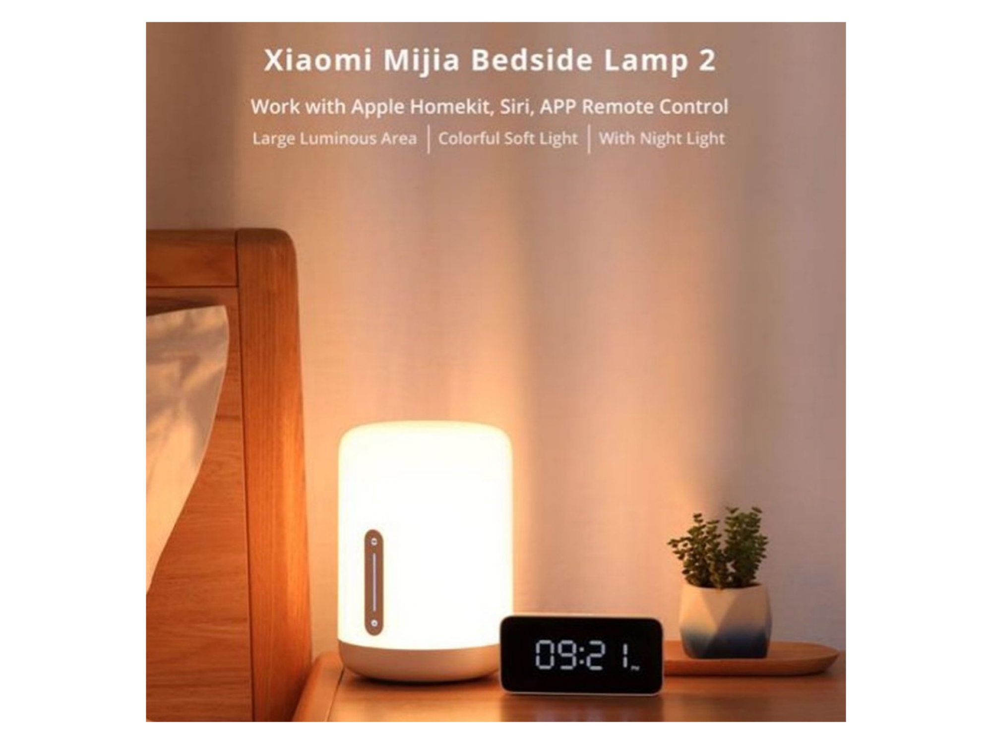 Xiaomi Bedside Lamp - Best Prices