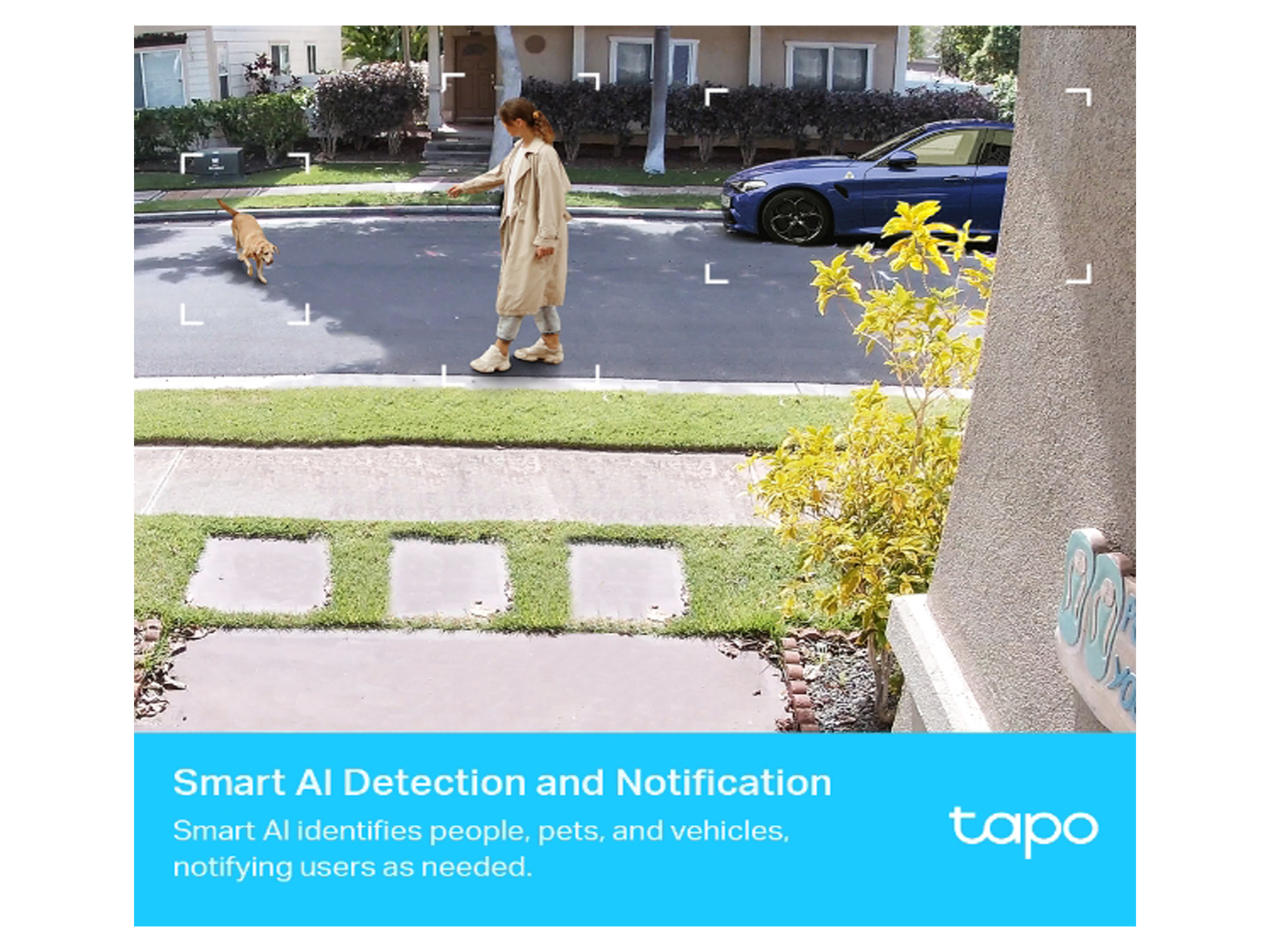 Tapo C420S2 Smart Wire-Free Security Camera System, 2-Camera System - Best Prices