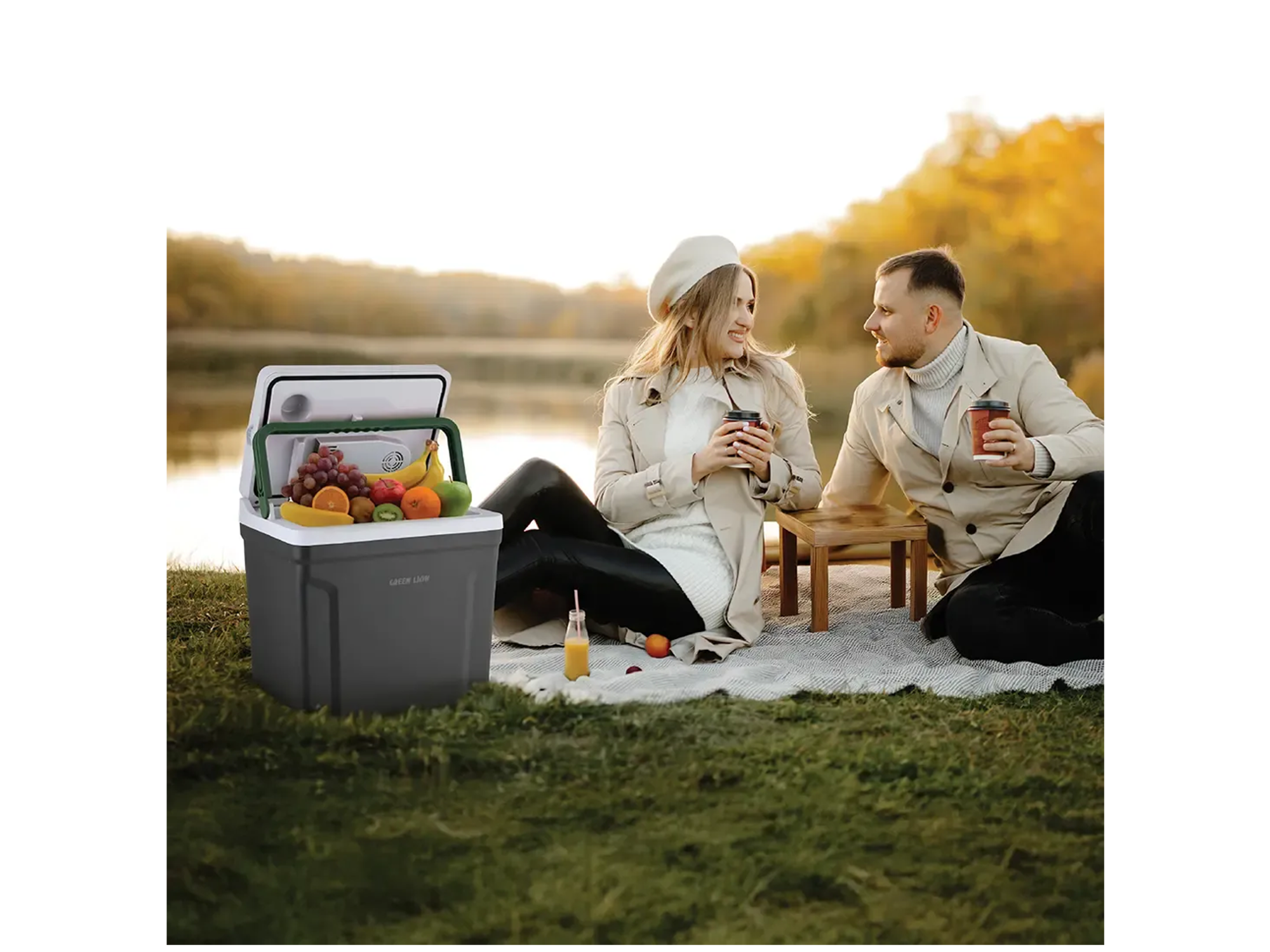 Green Lion Highway Electric Heating and Cooling Fridge - Best Prices
