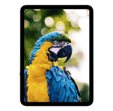 G-Tab Pad 10 Pro - سكني