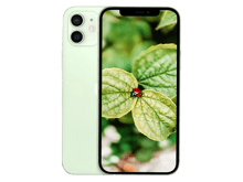 Apple iPhone 12 - Green