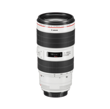 كانون اي اف 70-200ملم f/2.8L IS III عدسة يو اس ام - أفضل سعر