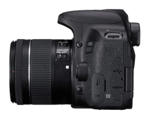 كانون كاميرا EOS 800D SLR بعدسة 18-55 is STM - أفضل سعر