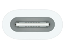 Apple USB-C to Apple Pencil Adapter - Best Prices