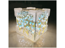 Tulip Night Light - Best Prices
