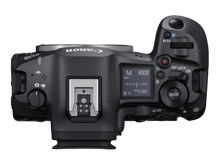 كانون EOS R5 Mark II بدون مرآه كميراة سينما ( الهيكل فقط ) - أفضل سعر كانون EOS R5 Mark II بدون مرآه كميراة سينما ( الهيكل فقط ) - أفضل سعر
