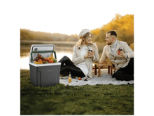 Green Lion Highway Electric Heating and Cooling Fridge - Best Prices
