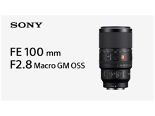 Sony FE 100mm F2.8 Macro GM OSS - Best Prices