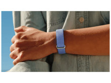 Google Fitbit Air - Best Prices