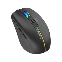 PROMATE 2.4GHz Wireless Ergonomic Optical Mouse with LED Rainbow Lights - Best Prices