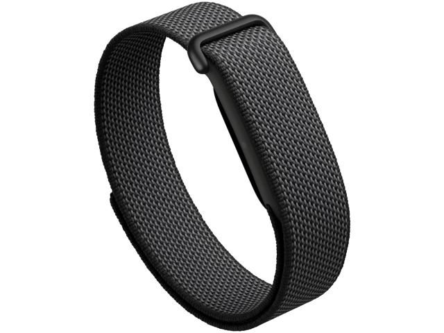 Google Fitbit Air